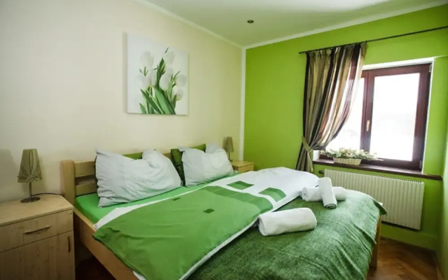 Villa in Stare Hamry Near Ski Park Grun