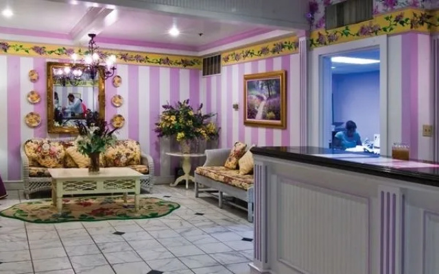 Lilac Tree Suites