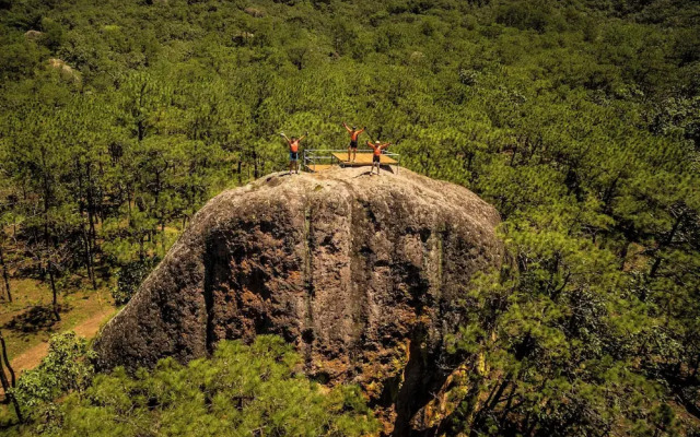 Roca Venados