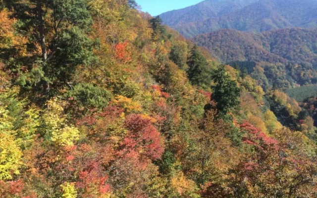 Ryokan Yuzawa - Vacation STAY 14222v