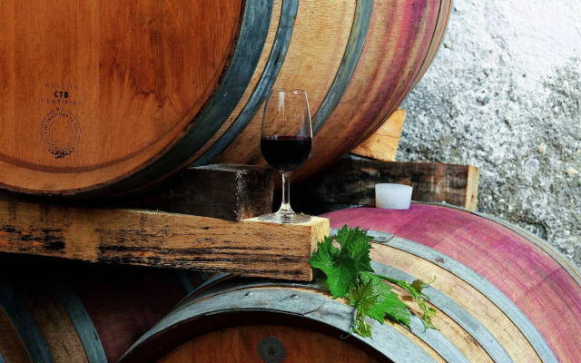 Fattoria Casabianca