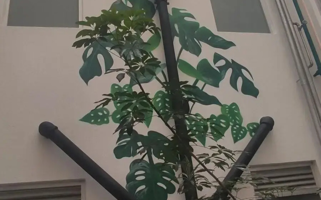 Hotel Habana