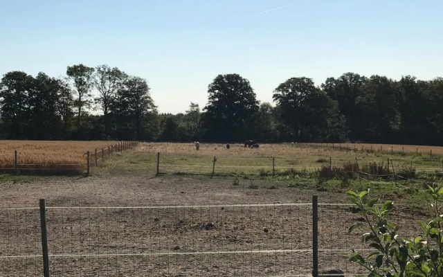 SIMPLE LIVING - Beds 190 cm - Dogs welcome on request - CARAVAN - COSY FARM BnB