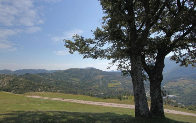 Lovely Holiday home in Apecchio with Pool