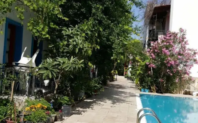 Nursu Apartments