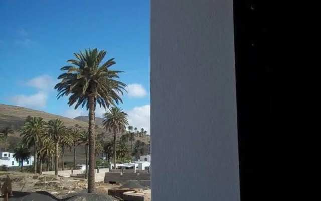 Palmerala