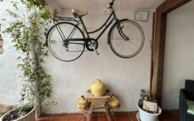 Casatrujillo AT-CC00419