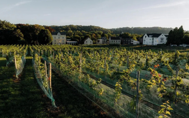 Corneli Residences Château St. Gerlach