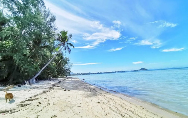 Beach Bungalow