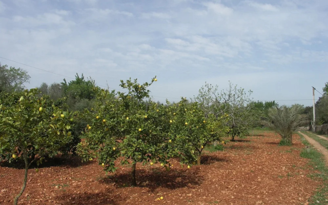 Finca Ca Na Pauleta