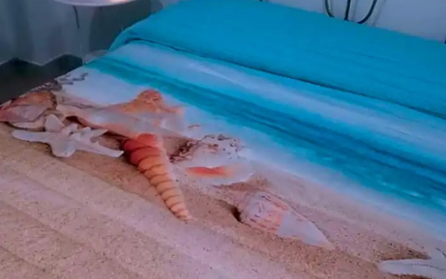 I Tesori Del Mare