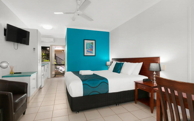 Cairns City Palms