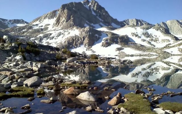 Mountainback #74