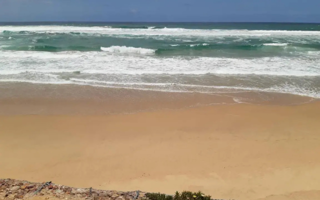 King Protea Self Catering Flat