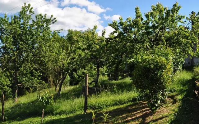 Mozzanella Holiday Home in Garfagnana