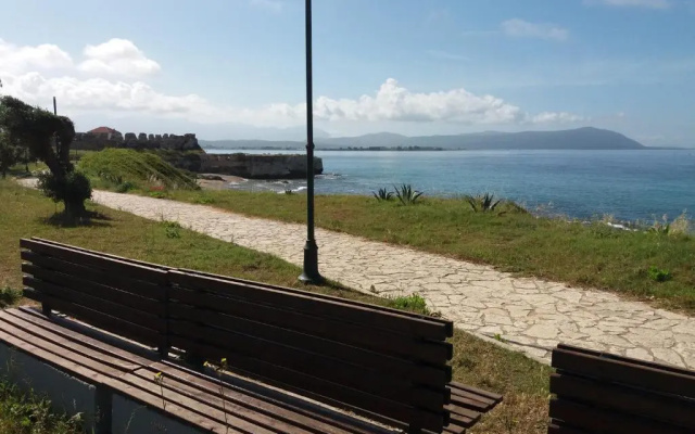 Nestor Sea Studio