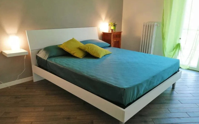 B&B Colors