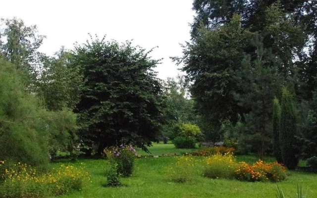Zamek w Czernej