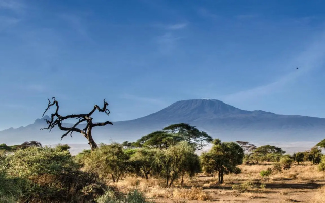 Sentrim Amboseli