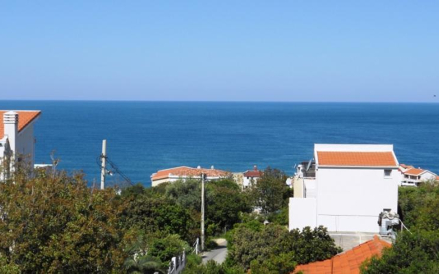 Villa Milica