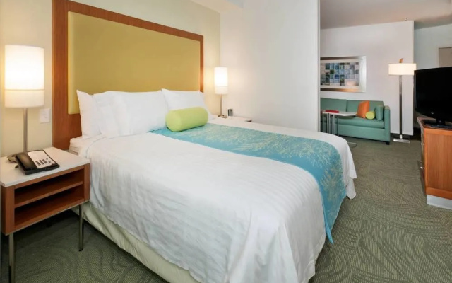 Springhill Suites Lafayette South At River Ranch