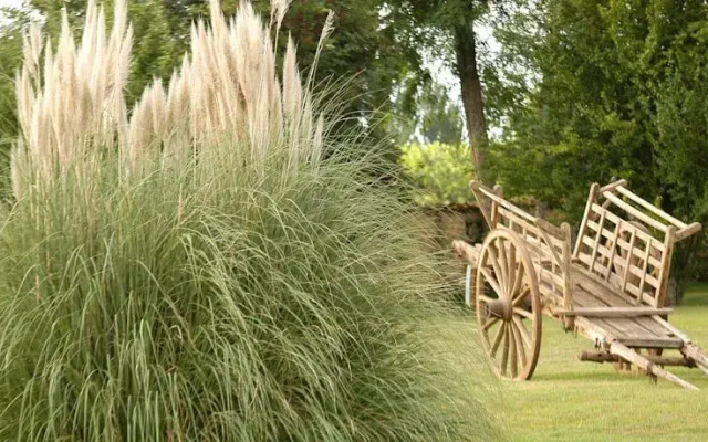 Domaine du Treuil