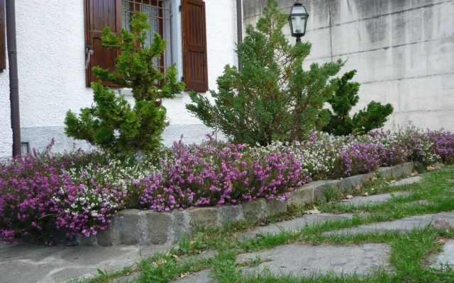 Bed and Breakfast da Viviana
