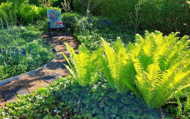 Mitten Im Seenland Und Spreewaldnah, Schoner Garten