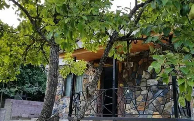 Apartment SA_NI