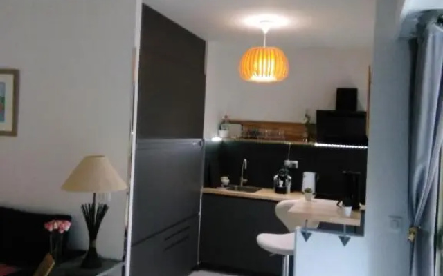 NICE- GAIRAUT - JARDIN PRIVE- GRAND F1 LUMINEUX-Piscine Collective