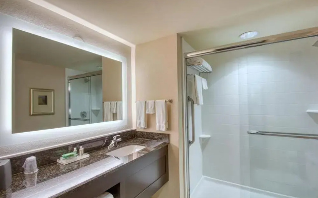 Holiday Inn & Suites Atlanta Airport-North
