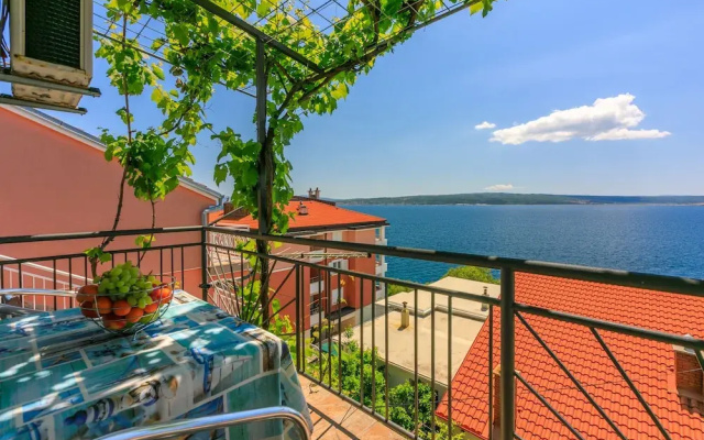 Apartments Brana