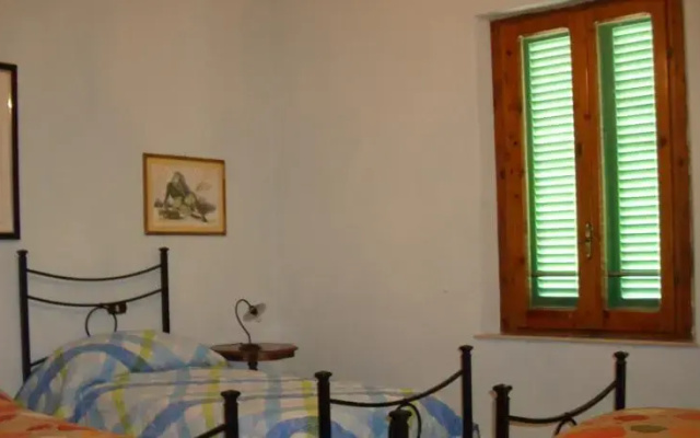 Il Cavalluccio Marino