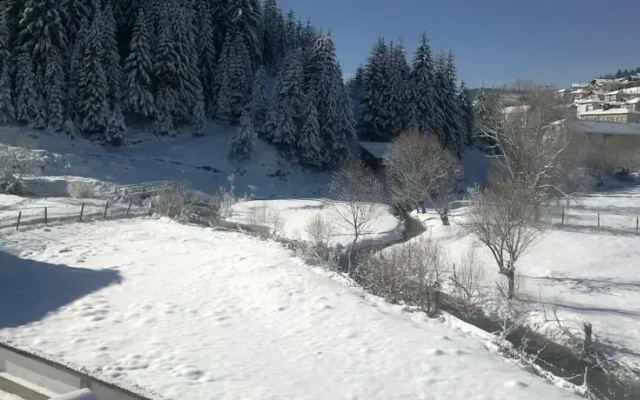 Guest House Orletz