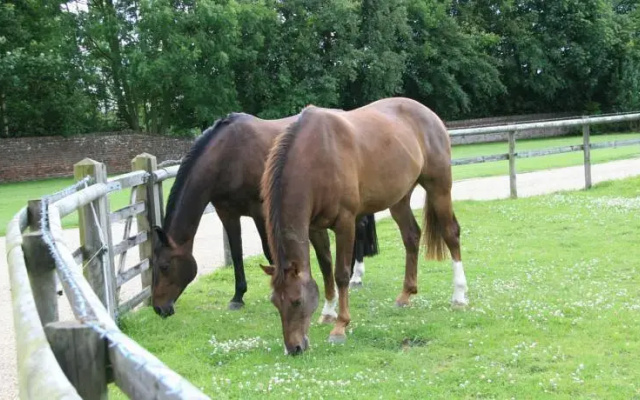 Hungry Bentley Barn bed and breakfast