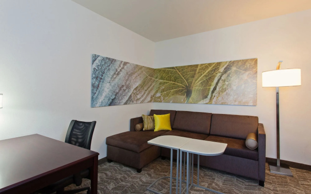 SpringHill Suites by Marriott El Paso