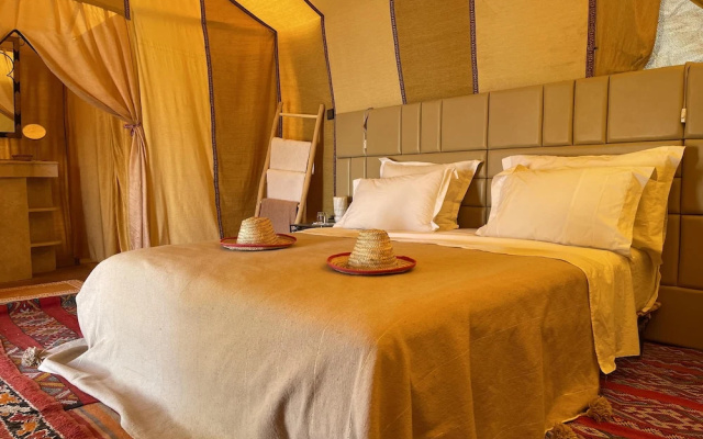 Arena Desert Camp & Activitys