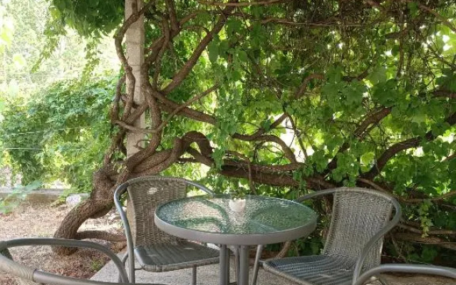 Apartman Dalmatinka