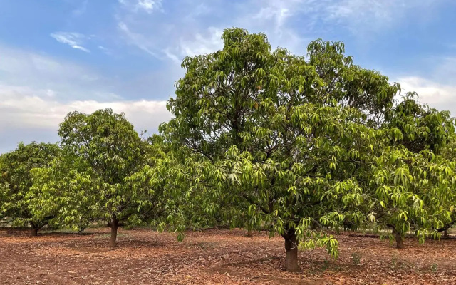The Postcard Gir Wildlife Sanctuary