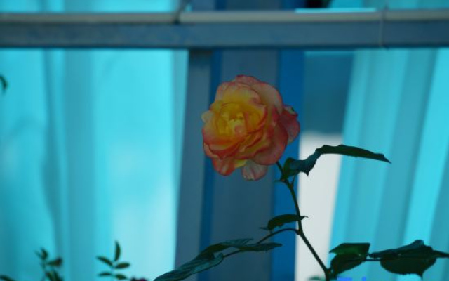 Yilan• Central Asia-Europe-Africa Ring Youth Hostel