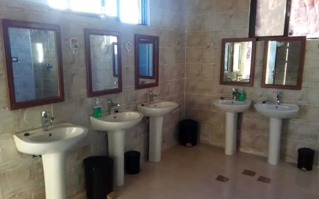 Alamer Hostel Camp