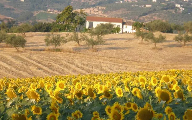 Casa in Collina