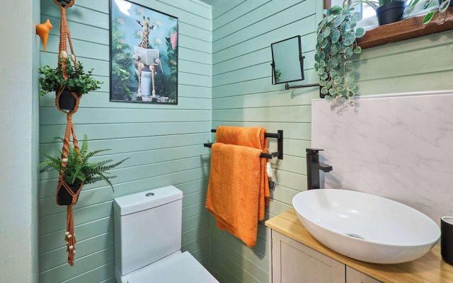 Host Stay Curlews Rest