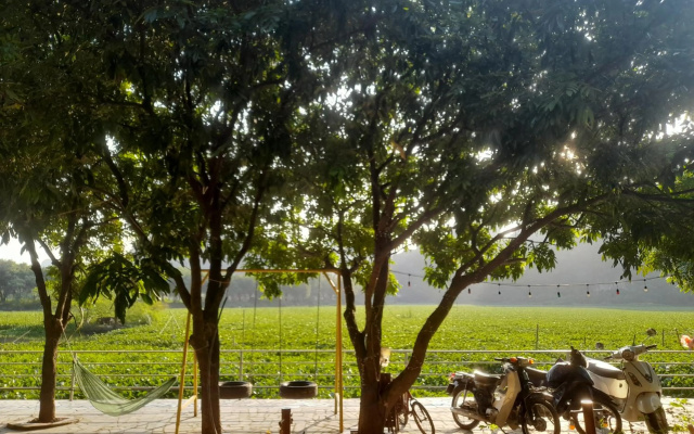 Serena riverside homestay - Trang An