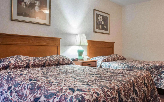 Econo Lodge By The Falls