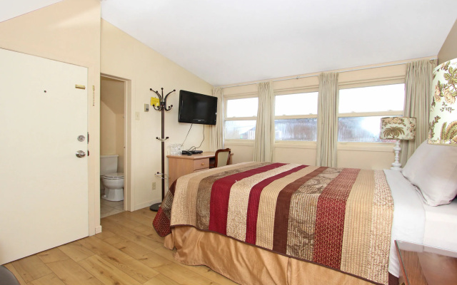 Gower Guest House