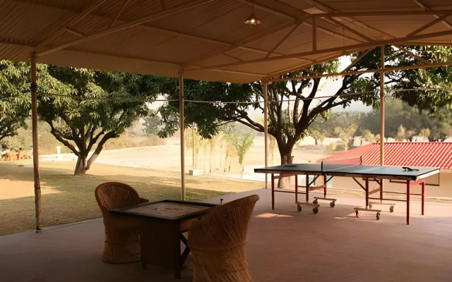 Tiger Camp