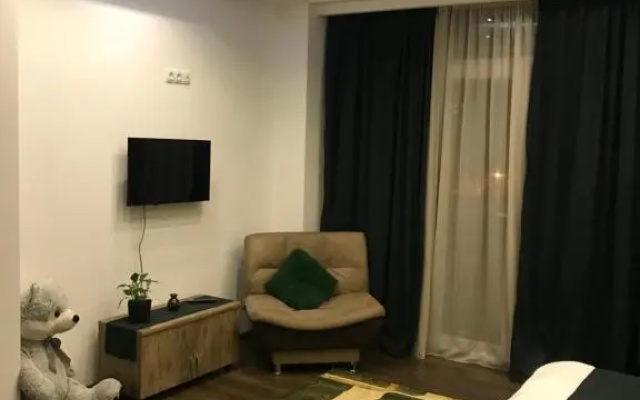 Elegant residence near old Tbilisi