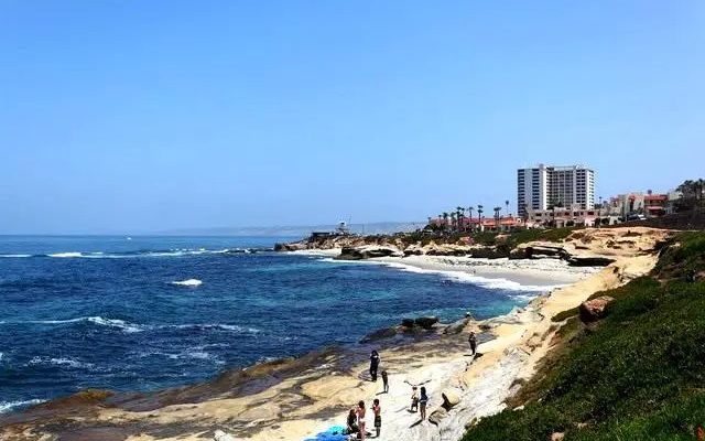 Oceanfront Delight