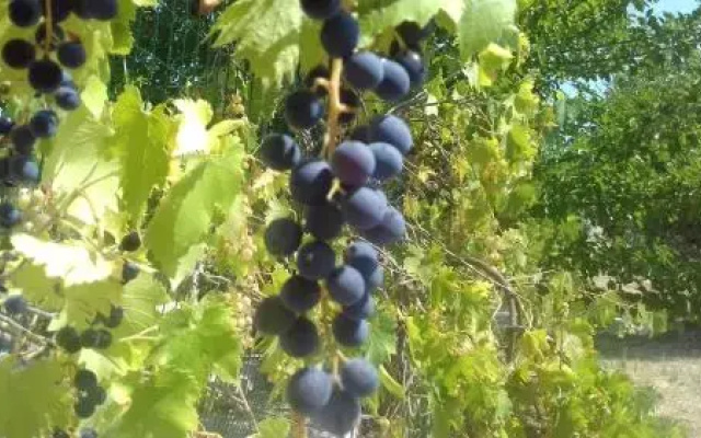 Villetta in pietra